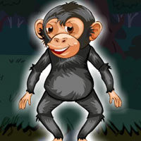 Free online html5 games - G2J Rescue the Child Monkey in River game 