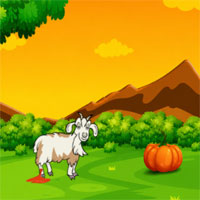 Aid the Wounded Goat