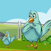 Free online html5 escape games - G2M Bird Feeding Girl Escape