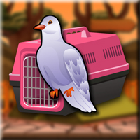 Free online html5 games - Games2Jolly Ringneck Dove Escape game 