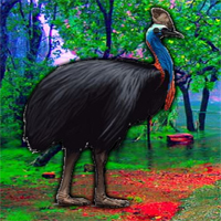 Free online html5 games - G2R Escape Game Save The Cassowary game 