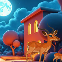 Free online html5 games - Raccoon Rescue Escape game 