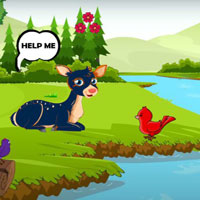 Free online html5 games - Wow Save Poisoned Affect Deer game - WowEscape 