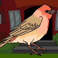 Free online html5 games - G2J House Finch Escape from Wood Cage game - WowEscape 
