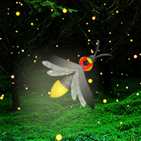 Free online html5 games - Fireflies Night Forest Escape game 