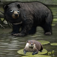 Free online html5 games - Otter Escape game 