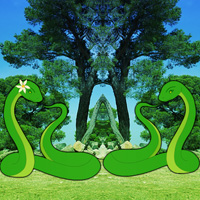 Free online html5 games - Joshua Tree Forest Snake Escape game 