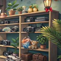 Free online html5 escape games - Snapshots of the Past