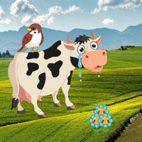 Free online html5 escape games - Wow Stop To Crying Mom Cow