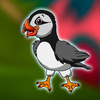 Free online html5 escape games - Rescue the Atlantic Puffin