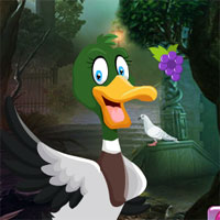 Free online html5 games - Games4King Domestic Duck Escape game 