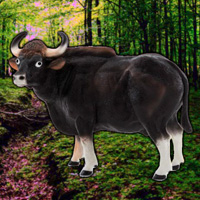 Free online html5 games - WowEscape Save The Gaur game - WowEscape 