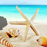 Free online html5 games - Fantasy Conch Beach Escape game - WowEscape 