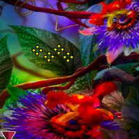 Free online html5 games - Dreaming Thanksgiving Forest Escape game - WowEscape 
