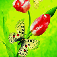 Free online html5 games - Friends Butterfly Escape HTML5 game - WowEscape 