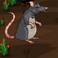 Free online html5 games - Adventures Of Mouse Black and White NsrGames game 