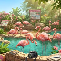 Free online html5 escape games - Zoo Day Adventure