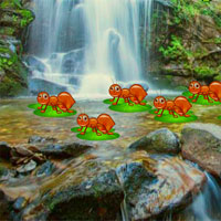 Free online html5 games - Avm Waterfall Forest Escape game - WowEscape 