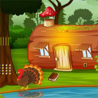 Free online html5 games - Top10 Rescue the Dove game 