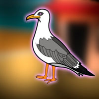 Free online html5 escape games - Free the Seagull from the Cage