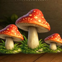 Free online html5 escape games - Find Garden Snail Milo