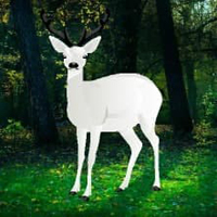 Free online html5 escape games - Rescue The Wild White Deer HTML5