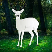 Free online html5 games - Rescue The Wild White Deer HTML5 game - WowEscape 