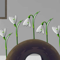 Free online html5 games - 8b Find Succulent Plant game - WowEscape 