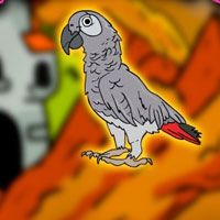 Free online html5 escape games - Clever Grey Parrot Escape From Cage