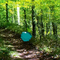 Free online html5 games - Nature Wood Land Escape game - WowEscape 