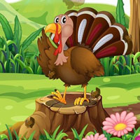 Free online html5 escape games - Thanksgiving Hidden Objects 01