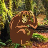 Free online html5 games - Trapped Monkey Child Escape HTML5 game - WowEscape 