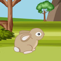 Free online html5 escape games - Lion Family Escape