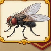 Free online html5 escape games - 8B Royal Library Help Jack