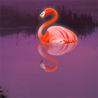 Free online html5 games - WowEscapeGames Escape The Pink Flamingo Bird game 
