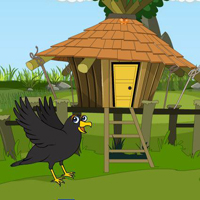 Free online html5 escape games - Couple Crows Hut Escape