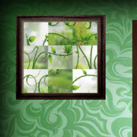 Amgel Easy Room Escape 242