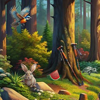 Free online html5 games - Dusk in the Woods game 