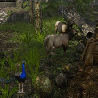 Free online html5 games - FEG Mystery Forest Escape 4 game 