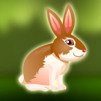 Free online html5 escape games - Free the Gray Rabbit