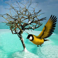 Free online html5 games - Dead Sea Friends Escape HTML5 game - WowEscape 