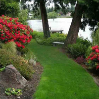 Wild Nature Garden Escape HTML5