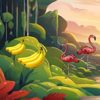 Free online html5 escape games - Coco Shell Rescue