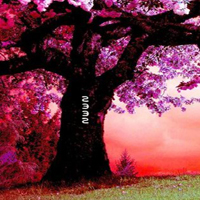 Free online html5 games - Fantasy Pink Forest Escape game - WowEscape 