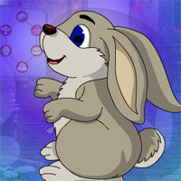 Free online html5 games - G4K Playful Rabbit Escape game - WowEscape 