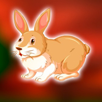Free online html5 escape games - Escape the Lovable Pet Rabbit
