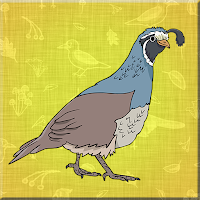 Free online html5 games - G2J Elegant Quail Escape game 