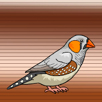 Free online html5 escape games - Help The Australian Zebra Finch