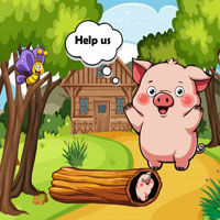 Free online html5 escape games - G2R Save Wooden Stuck Tiny Piggy