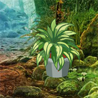 Free online html5 escape games - Shadowtail Fox Escape